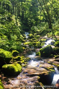 mt mitake mt hinode hiking & onsen - river, rivière