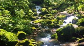 Mt Mitake & Onsen : Une randonnée à l’air frais
