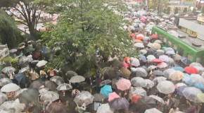 Un avis et une tempête à Tokyo