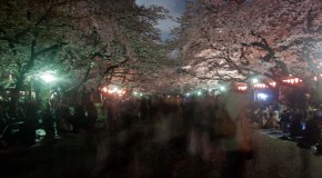 O Hanami : les Sakura de nuit à Ueno Park