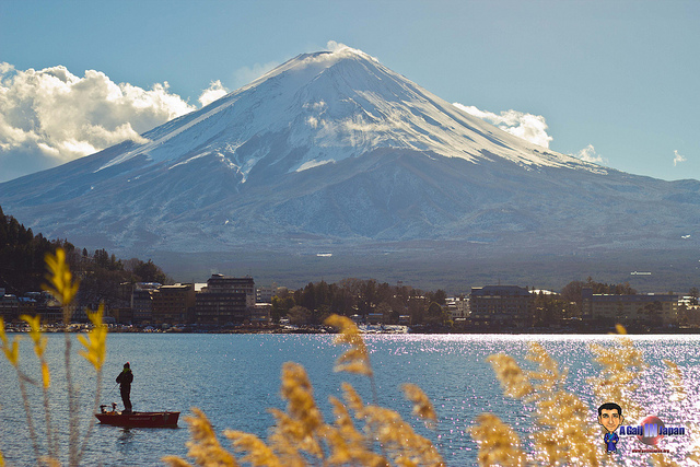 Mont Fuji - Kawaguchiko - pêcheur et roseaux