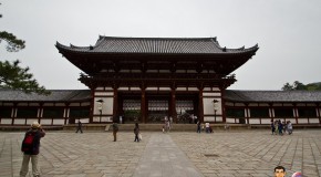 Nara : une journée entre temple, Bouddha, nature et daims