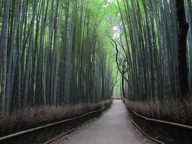 Arashiyama - photo par Isaac Bordas sur flickr