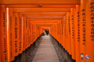Fushimi Inari Taisha Kyoto - torii avec kanji