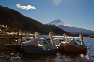 Fujigoko les 5 lacs du Mont Fuji pédalo