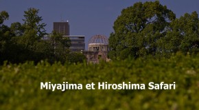 Miyajima et Hiroshima Safari : dans les rues de la ville avec Yann