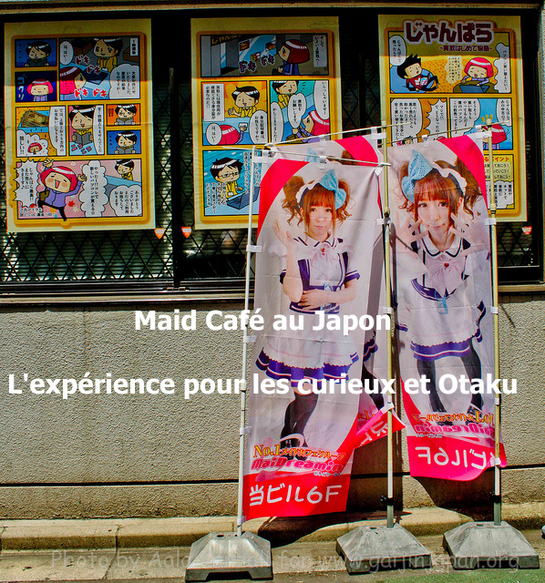 Maid Café Au Japon Une Expérience Otaku Pour Les Curieux