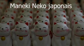 Maneki Neko japonais en 8 questions réponses