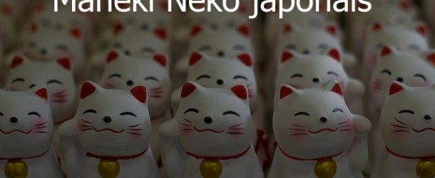 Maneki Neko japonais en 8 questions réponses