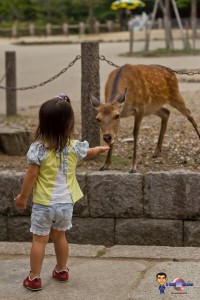 Voyage au Japon en famille et avec enfants (4)