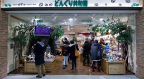 Boutique studio Ghibli: Donguri Kyowakoku