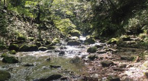 Mont Mitake à Tokyo, une randonnée hors de la ville