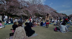 Parc Shinjuku Gyoen, dans le coeur de la capitale