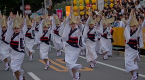 Tokushima Awa Odori, la danse des fous
