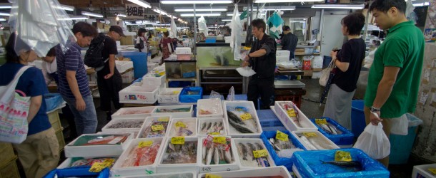Adachi Shijyo, marché aux poissons à Tokyo