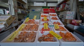 Nijo Ichiba, marché aux poissons et fruits de mer