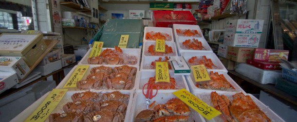 Nijo Ichiba, marché aux poissons et fruits de mer
